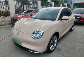 欧拉好猫 2023款 401km标准续航 尊贵型 磷酸铁锂