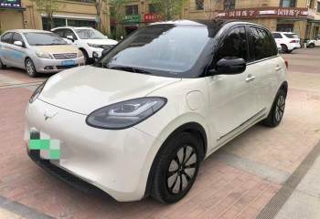 五菱汽车 五菱缤果 2023款 410km 灵犀尊享款