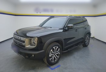 哈弗大狗 2024款 1.5T DCT边牧版