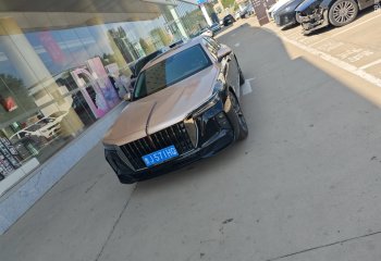 红旗 H9 2023款 2.0T 智联旗畅版