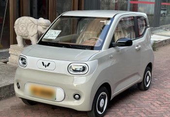 五菱汽车 宏光MINIEV 2024款 第三代 215km 青春版