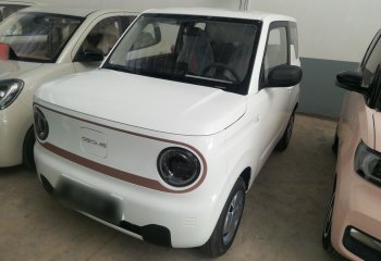 吉利汽车 2024款 熊猫mini 200km 耐力熊