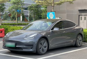 特斯拉 Model 3 2019款 标准续航后驱升级版
