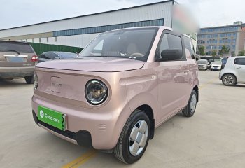 吉利汽车 2024款 熊猫mini 200km 耐力熊