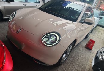 欧拉好猫 2023款 401km标准续航 尊贵型 磷酸铁锂