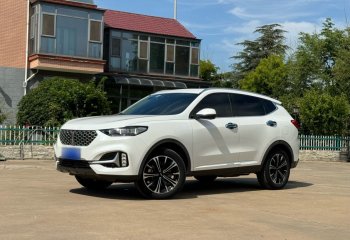 魏牌 VV6 2021款 2.0T 两驱智护+
