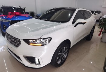 魏牌 VV5 2021款 1.5T 两驱智先锋