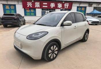 五菱汽车 五菱缤果 2023款 203km 舒享款