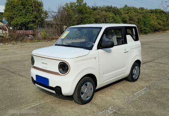 吉利汽车 2024款 熊猫mini 200km 耐力熊