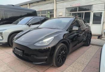 特斯拉 Model Y 2021款 改款二 长续航全轮驱动版