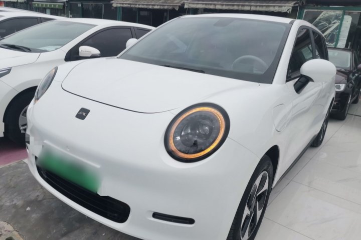 江淮钇为 钇为3 挚爱版 505km 冠军版