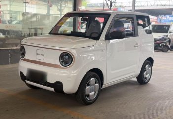 吉利汽车 2024款 熊猫mini 200km 耐力熊