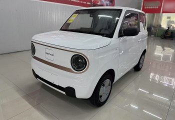 吉利汽车 2024款 熊猫mini 200km 耐力熊
