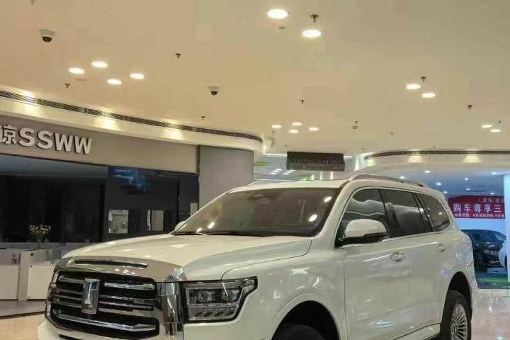 坦克 500新能源 Hi4-T