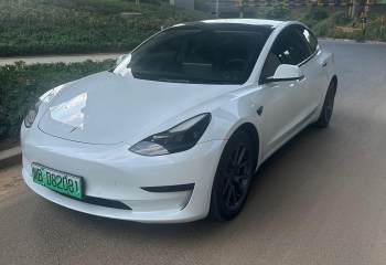 特斯拉 Model 3 2021款 标准续航后驱升级版