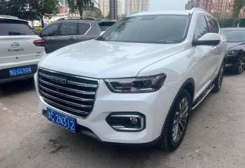哈弗 H6 2020款 1.5GDIT 自动铂金冠军版