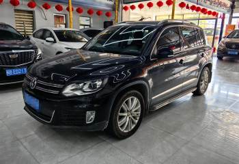 大众 途观 2013款 1.8TSI 自动四驱豪华型