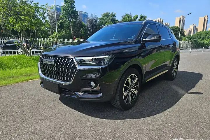 哈弗 H6 国潮版 1.5T 自动都市版