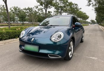 欧拉好猫 2022款 400km标准续航 尊贵型 磷酸铁锂