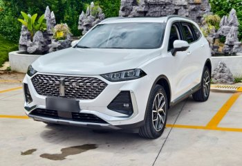 魏牌 拿铁DHT-PHEV 2022款 1.5T 两驱大杯