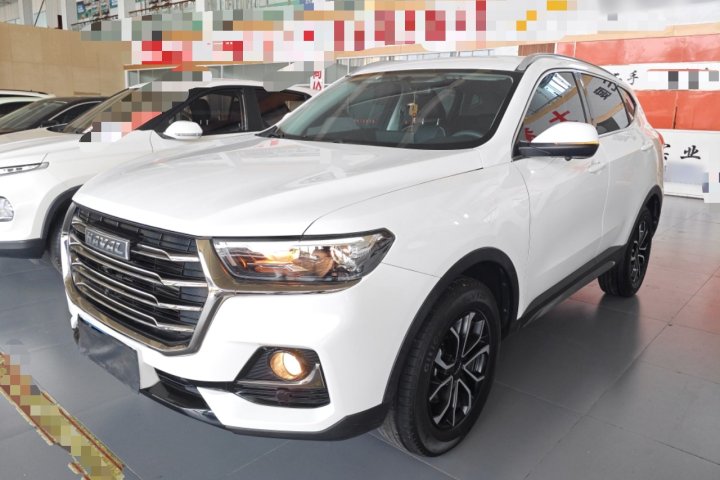 哈弗 H6 国潮版 1.5T 自动都市版