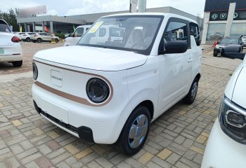 吉利汽车 2024款 熊猫mini 200km 耐力熊