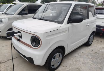 吉利汽车 2024款 熊猫mini 200km 耐力熊