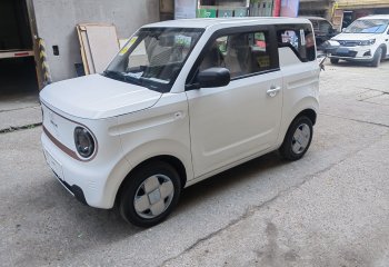 吉利汽车 2024款 熊猫mini 200km 耐力熊