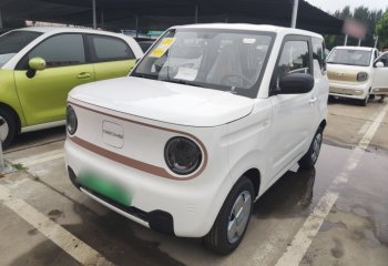 吉利汽车 2024款 熊猫mini 200km 耐力熊