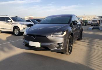 特斯拉 Model X 2019款 Performance 高性能版