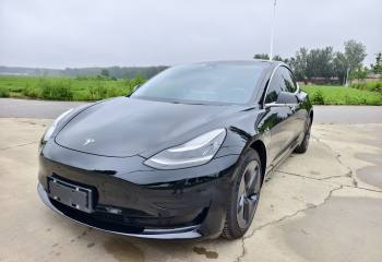 特斯拉 Model 3 2019款 标准续航后驱升级版
