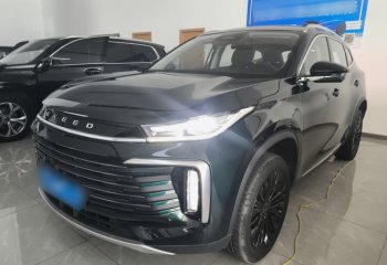 星途凌云 2024款 300T 两驱星耀版