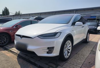 特斯拉 Model X 2019款 长续航版