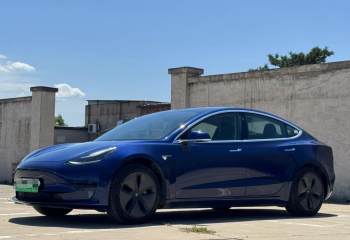 特斯拉 Model 3 2020款 标准续航后驱升级版