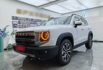 哈弗大狗 2024款 1.5T DCT边牧版