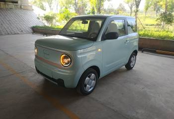 吉利汽车 2024款 熊猫mini 200km 耐力熊