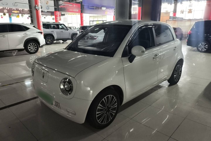 欧拉 黑猫 301km 萌动型 磷酸铁锂