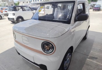 吉利汽车 2024款 熊猫mini 200km 耐力熊