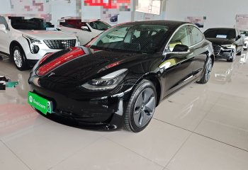 特斯拉 Model 3 2020款 改款 标准续航后驱升级版