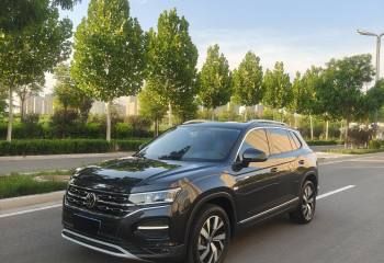 大众 探岳 2021款 330TSI 两驱3周年限量版