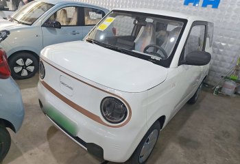 吉利汽车 2024款 熊猫mini 200km 耐力熊