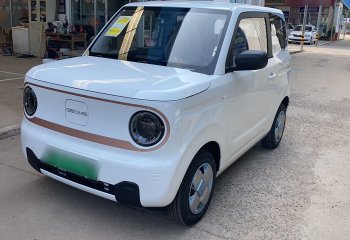 吉利汽车 2024款 熊猫mini 200km 耐力熊