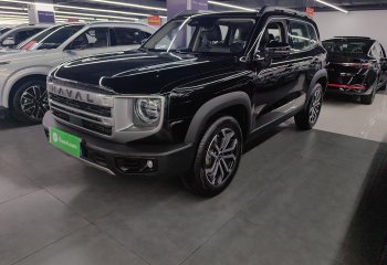 哈弗大狗 2024款 1.5T DCT边牧版