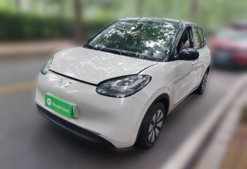 五菱汽车 五菱缤果 2023款 203km 舒享款