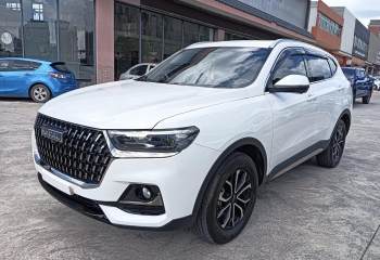 哈弗 H6 2023款 国潮版 1.5T 自动都市版