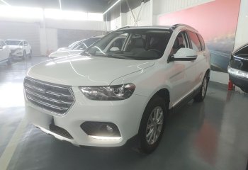 哈弗H6 2021款 运动版 1.5T 自动精英智联型 六边形格栅