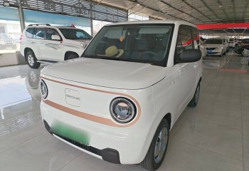 吉利汽车 2024款 熊猫mini 200km 耐力熊