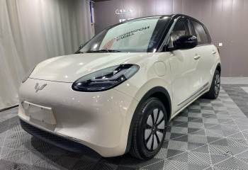 五菱汽车 五菱缤果 2024款 333km 悦享款