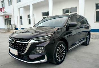 五菱汽车 五菱凯捷 2023款 2.0L DHT奢享型