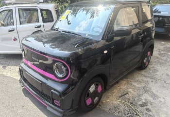 吉利汽车 2025款 210km 熊猫卡丁